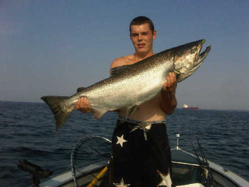 krit12's profile picture. 