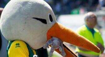 BDatthijn's profile picture. 