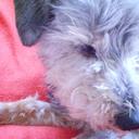 thomas marie aline - @thomasmarieline - Twitter