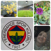 ŞnyErl💛💙 ⭐⭐⭐⭐⭐ (@cheermoon) 's Twitter Profile