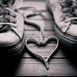 ♥ ✗ Altijd je TL gevuld met lovetweets ✗ ♥