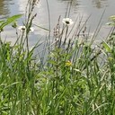 Julia Burrows - @JuliaBurrowsss - Twitter