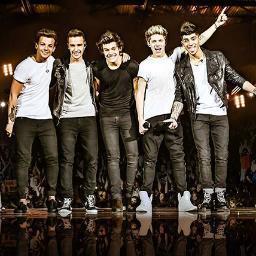 One Direction and The Script, enough said, 17 year old girl from ireland, Danny O Donoughe & Niall Horan...
