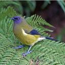 Kathy - @kathy_prosser - Twitter