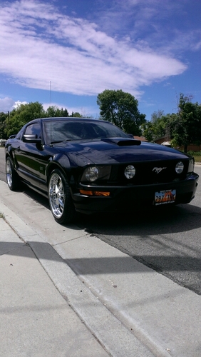 love sports, and especially interestd in cars