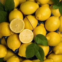 Business CPT - Come out Wednesday at lunch for some Sweet Saucy Lemonade! All proceeds go to charity!