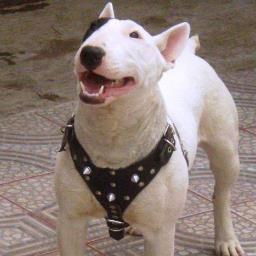 3012Martinez's profile picture. 