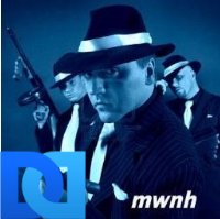 Liberal Democrat, USMC Vietnam Vet, Fantasy Football Manager, Mafia Wars Skilled Killer. Unite Blue