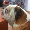 Cristobal Gil - @5Malaga36 - Twitter