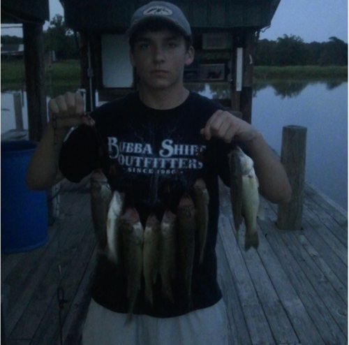 walkerdrew13's profile picture. baseball #13