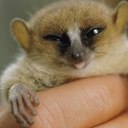 Adrian Berg - @upbeatmecca44 - Twitter