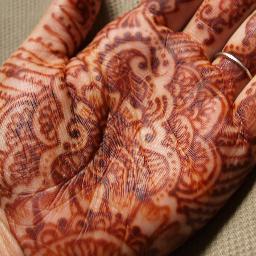 Affordable henna tattoo artist in the St. Pete & Tampa area. I do weddings, parties, etc. I offer discounts to #USF students too!