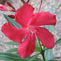 truthonahill's profile picture. Anglophile and decidophobe, fan of John Donne, tea drinker. Academia. No tenure...yet. Or ever. @truthonahill@troet.cafe