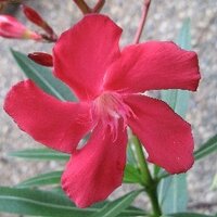 Truth on a Desk Chair (@truthonahill) 's Twitter Profile