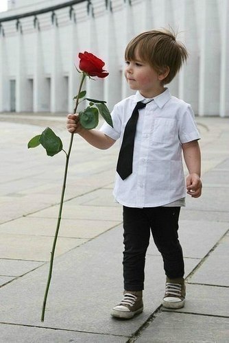 Боксер