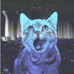 DennyDeins's profile picture. 