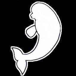 qualderwal's profile picture. Philosophie mit einem Geisterwal: Anekdoten, Skurriles und sehr wenig nackte Haut.