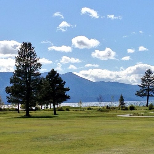 yourtahoecpas's profile picture. Top 15 CPA Firm