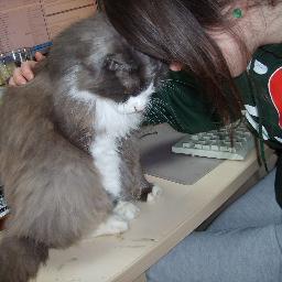 issi239's profile picture. sad bc supernatural -
i just have a twitter to follow people -
whew -
and occasionally complain maybe -- its 2020 and... final stage of being sad bc of spn