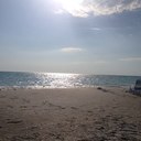 jodi reece - @8beachmom - Twitter