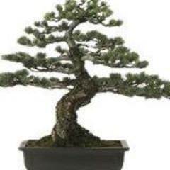 McIntoshLandsc1's profile picture. 519-221-4036