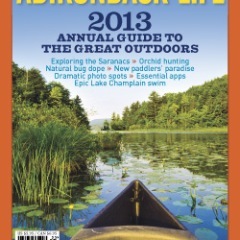 Lizadklife's profile picture. 