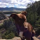 Erik Jacobson - @ErikJacobson6 - Twitter