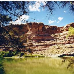 AndiTraveler's profile picture. Travel lover.  New mom, wife, psychotherapist, foodie.