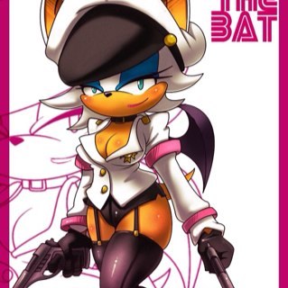 Well, hello there *Smirks* I am Rouge the bat! I am a cop for G.U.N! I love gems, and emeralds! Don't be fooled by my body...#Single