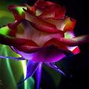 Martha Badillo - @BadilloMartha - Twitter