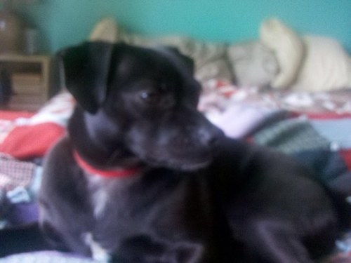 lindseycogan's profile picture. 