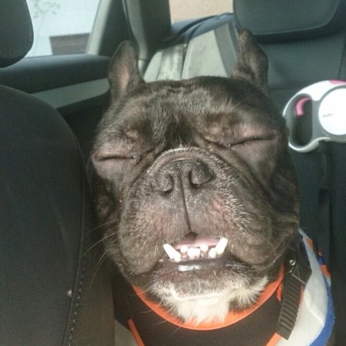 EIJIaxisMASUDA's profile picture. 