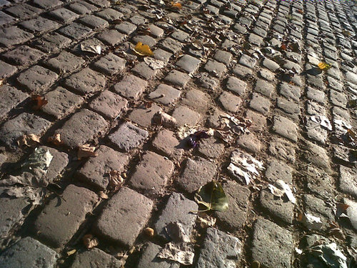 lesautresmoi's profile picture. 