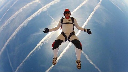 Sanseroni's profile picture. 