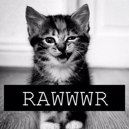 soyunminion's profile picture. 