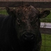 A.J. Kassing (@ajkassing) Twitter profile photo A.J. Kassing (@ajkassing) Twitter profile photo