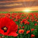 Cindy Dawson - @cedawson2 - Twitter