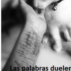 Gorda, Fea, Frenillos, Friki Invisble. Solo soy una más que desearía dejar de vivir. Lectora suicida.