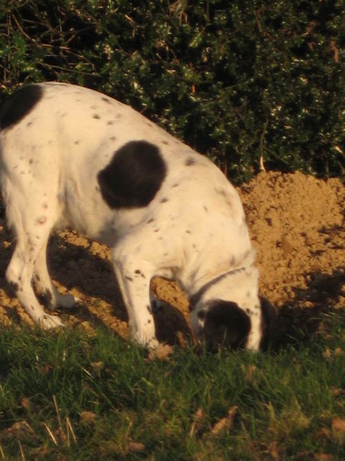 jdw_jon's profile picture. 