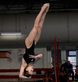 Canadian junior national team springboard and platform diver! Believe and you can achieve