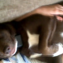 Kelsey tanner - @kelsey_tann - Twitter