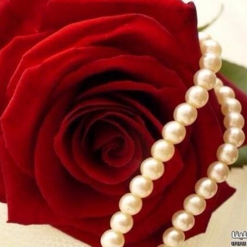 : حسابي توقف تابعوني على @ksa112629