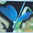 Alejandro Mota R. - @AlejandroMotaR1 - Twitter