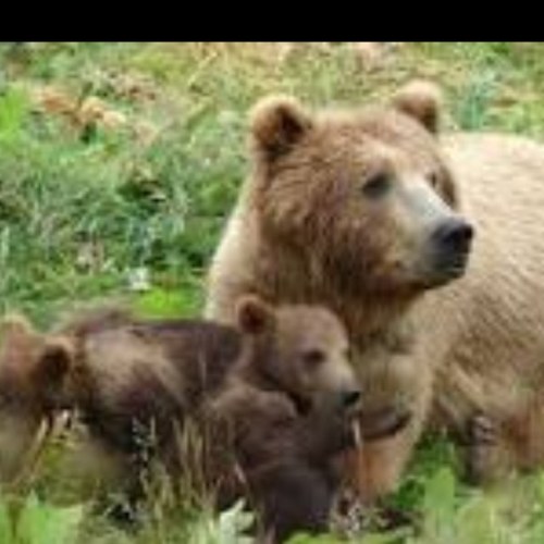 I am here to watch over my family and keep them safe