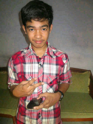 Picture