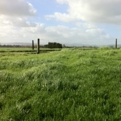 New Zealand Agri Business and creators of the worlds original biological fertiliser. Promoting sustainable farming and growing world wide.