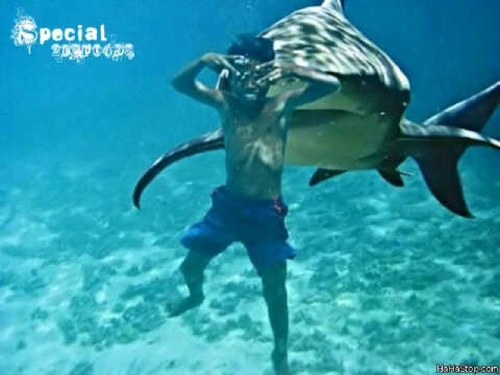 GasparRuiz's profile picture. 