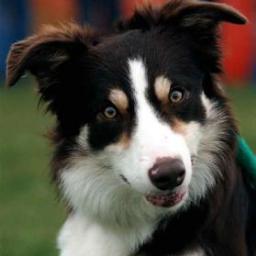 Roughneck117's profile picture. wut?