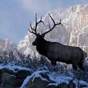 Nate Winn - @NateWinn1 - Twitter