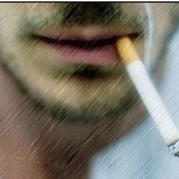 RizwanH36590042's profile picture. 